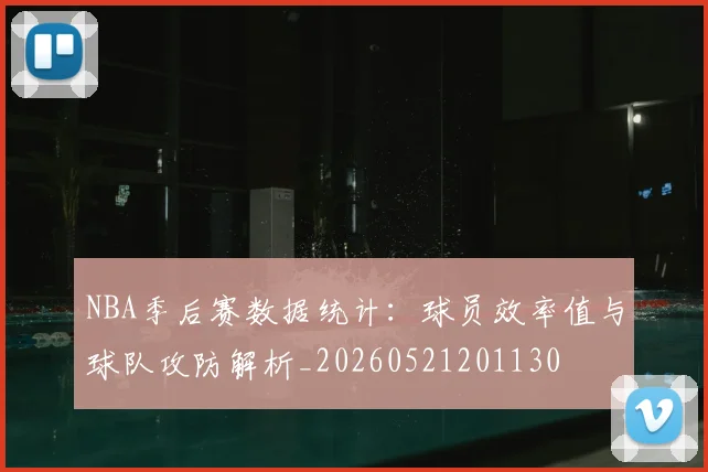 NBA季后赛数据统计：球员效率值与球队攻防解析_20260521201130